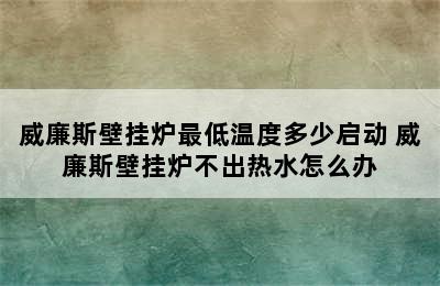 威廉斯壁挂炉最低温度多少启动 威廉斯壁挂炉不出热水怎么办